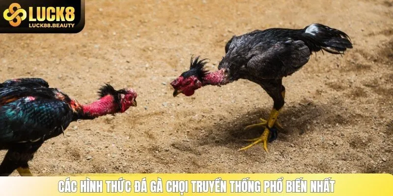 Các hình thức đá gà chọi truyền thống phổ biến nhất