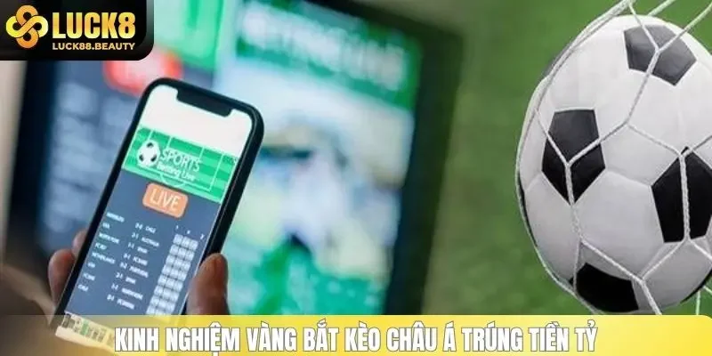 Kinh nghiệm vàng bắt kèo châu Á trúng tiền tỷ