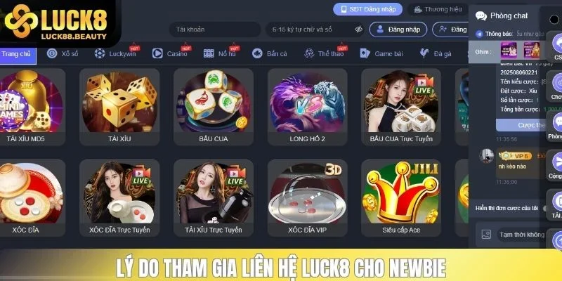 Lý do tham gia liên hệ LUCK8 cho newbie