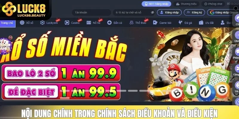 Nội dung chính trong quy định về điều khoản và điều kiện